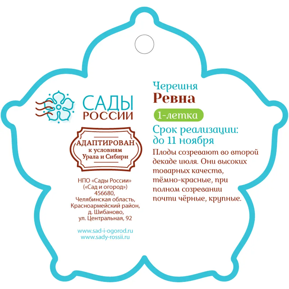 Черешня «Ревна» 1 год 12.5x30-50 см 82610480 STLM-2097080 Santreyd  - Вид №1