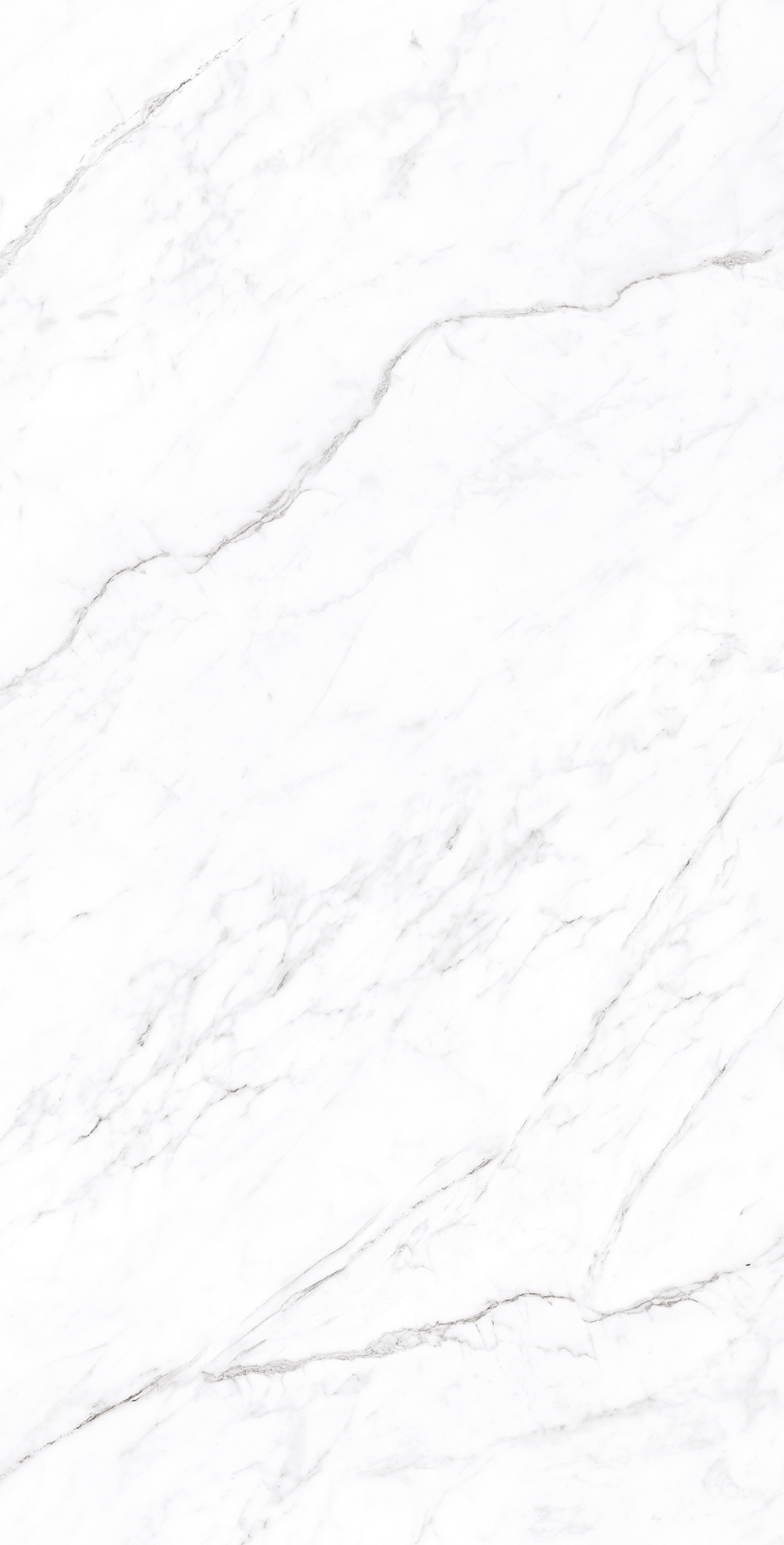 Белоснежный мраморный шедевр CORALINA WHITE CP4003-A Arcadia Ceramica - Вид №2