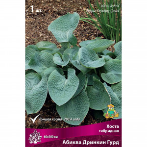 82118735 Хоста гибридная «Абиква Дринкин Гурд», 1 шт.
