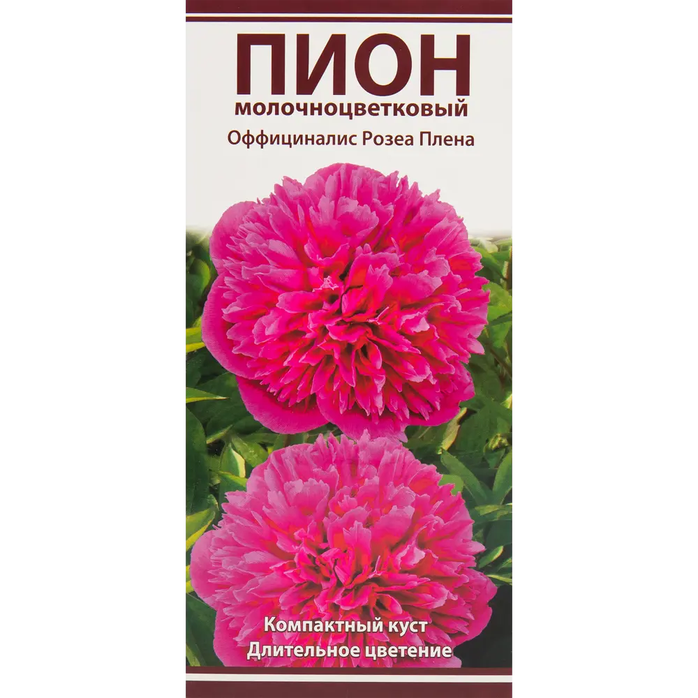 Пионы травян Оффициналис Розеа Плена 82530290 STLM-2206162 Santreyd 