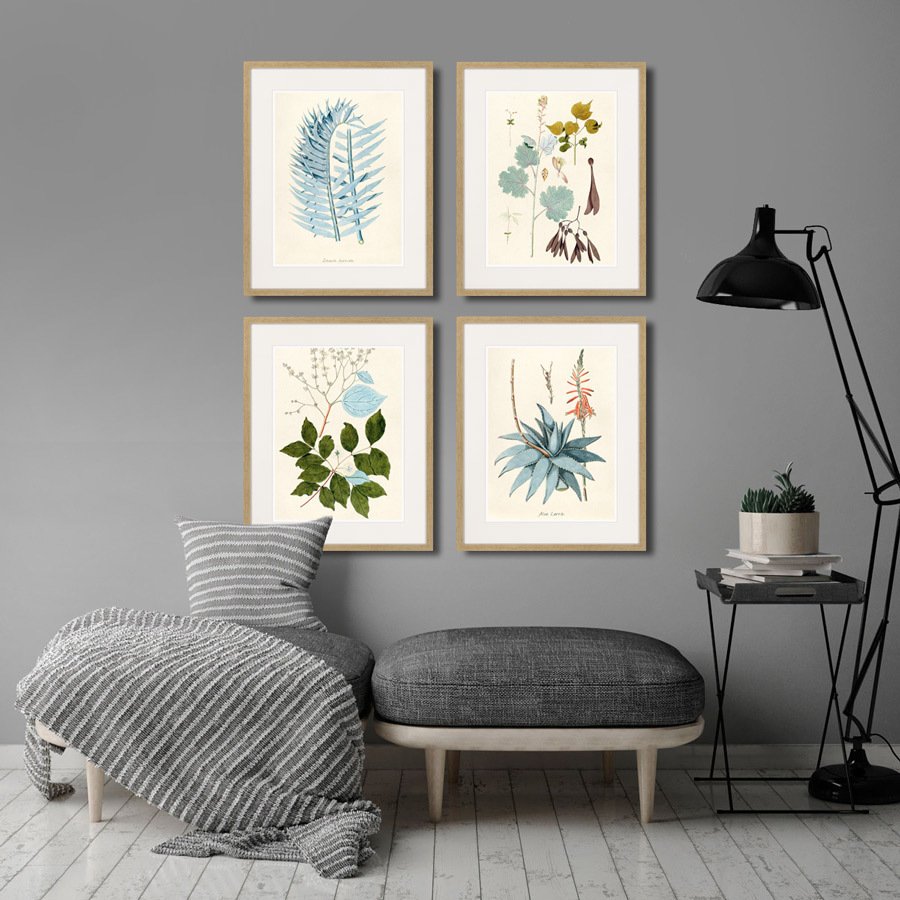 Картина: Fragmenta botanica №7, 1809г. КАРТИНЫ В КВАРТИРУ  264314 Разноцветный  - Вид №2