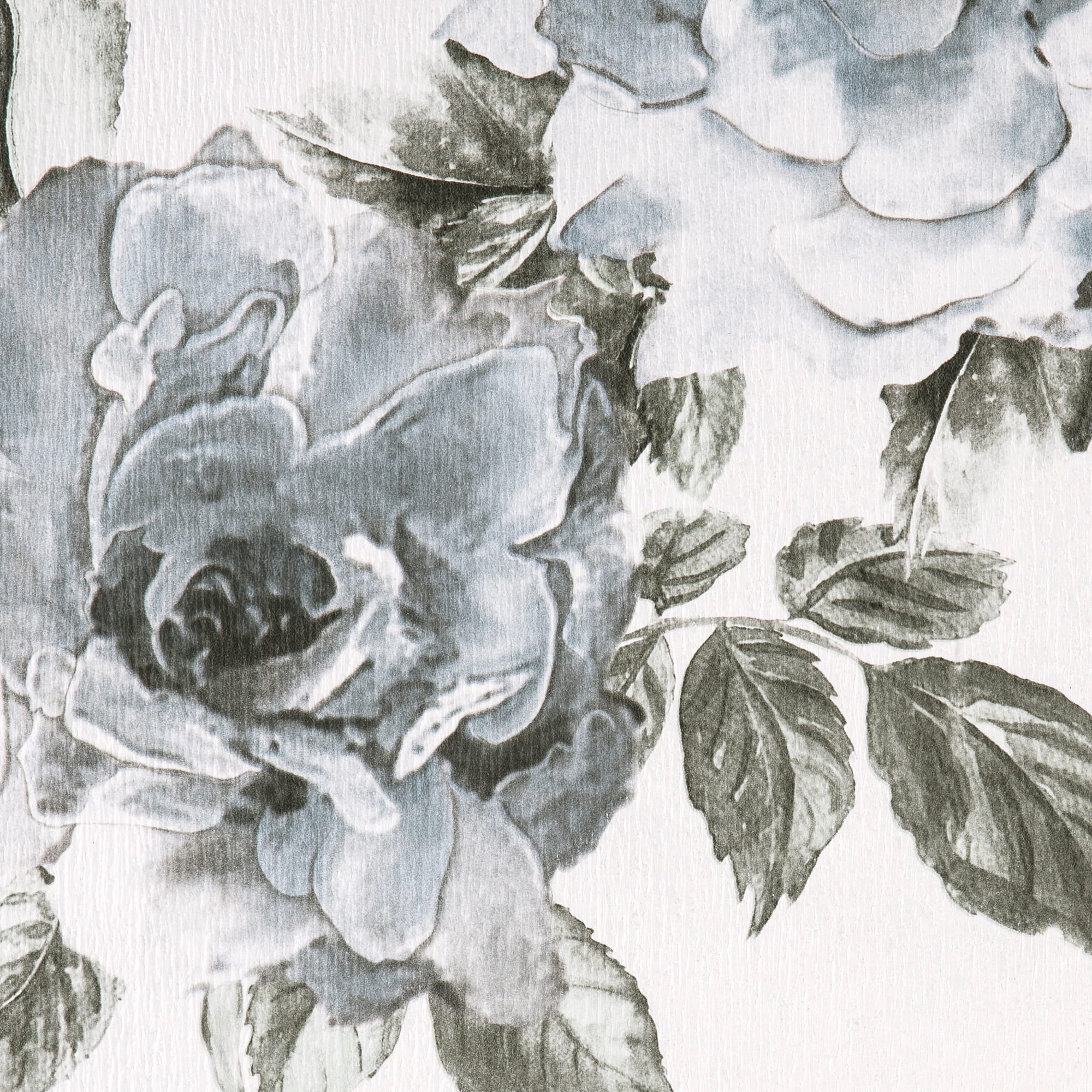 82938293 Обои бумажные 0.53 м 46119 бело-черные Шиповник Santreyd  - Вид №1