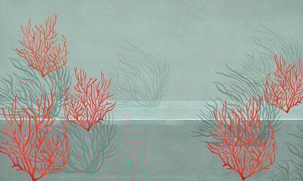 Обои с рисунком N.O.W. Edizioni CONCRETE / CORAL REEF ARCH-00037024 - Вид №3