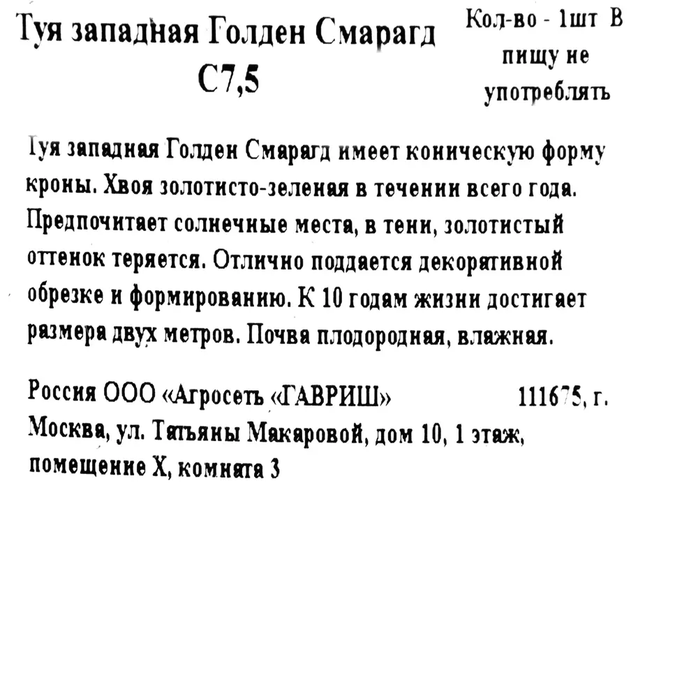 Туя западная «Голден Смарагд» 22x80 см 82550320 STLM-2208209 ГАВРИШ  - Вид №1