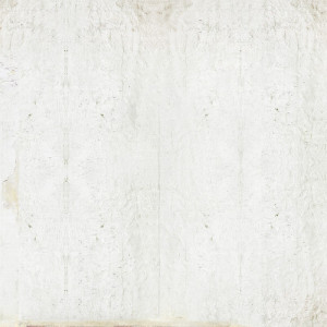 WP08022A Обои декоративные Adriani e Rossi