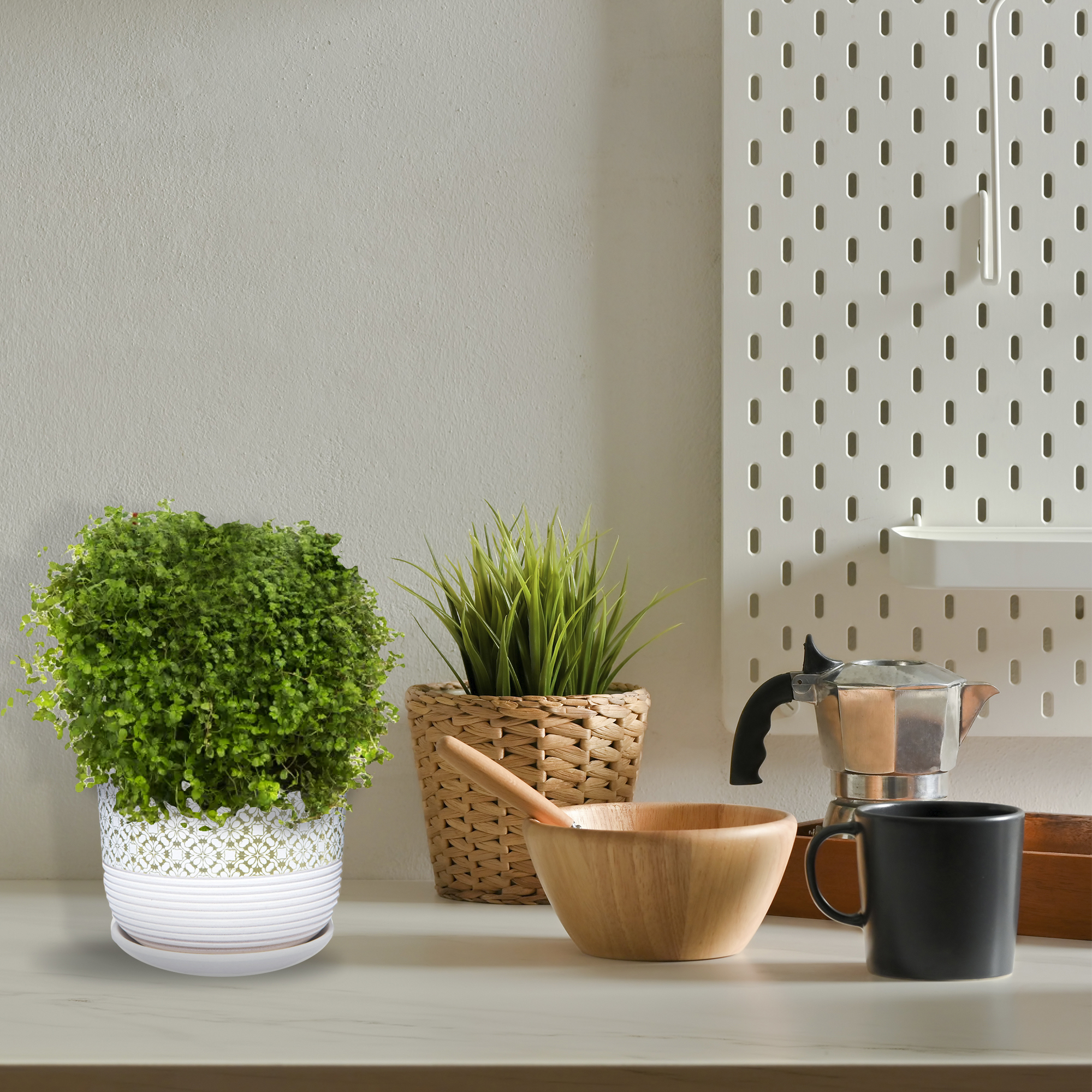 Солейролия декоративная - комнатное растение для озеленения интерьера 82560391 Santreyd STLM-0029931 - Вид №2