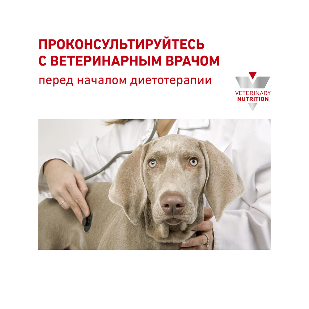 Т0023178 Корм для собак Vet Diet Renal при хронической почечной недостаточности, свинина конс. 410г ROYAL CANIN  - Вид №7