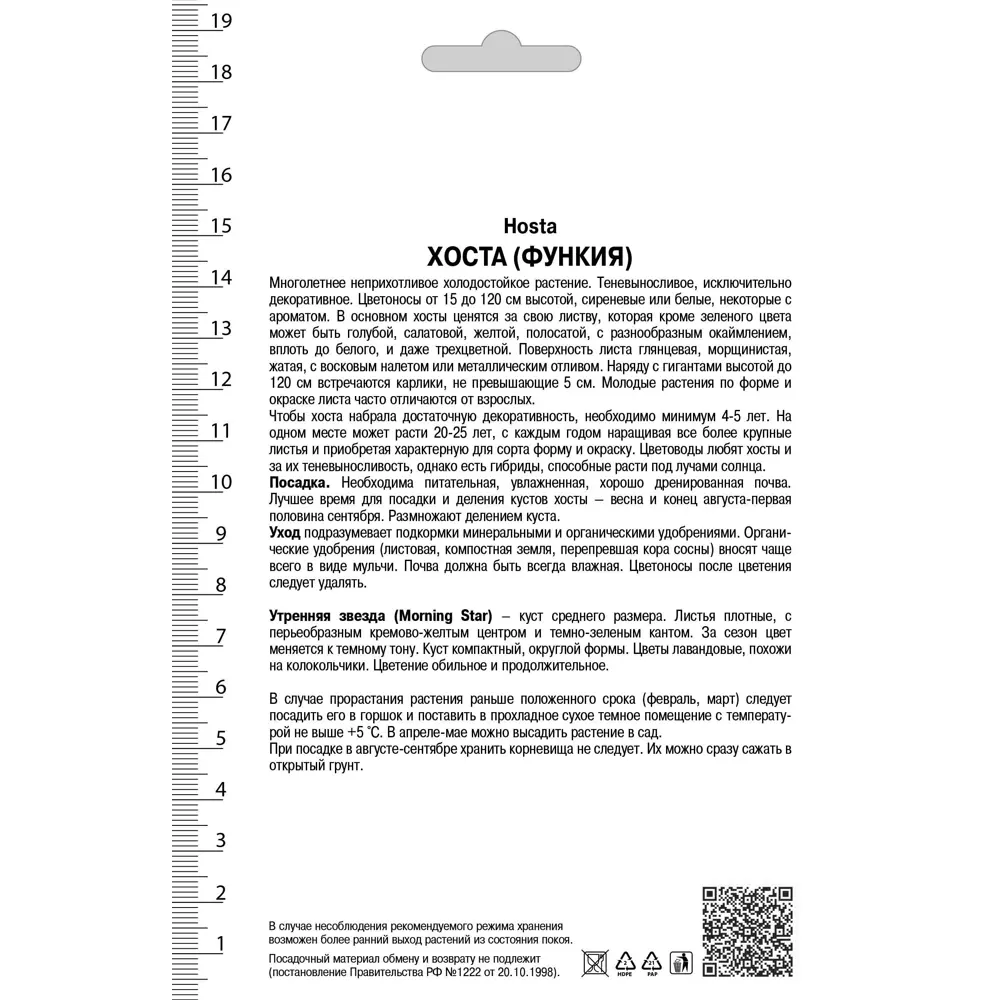 Хоста гибридная «Морнинг Стар» 82530269 STLM-2114478 Santreyd  - Вид №1