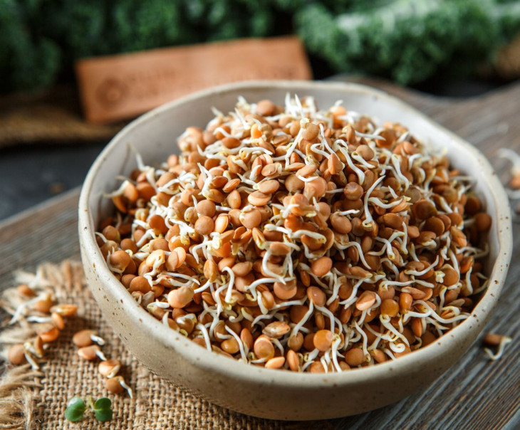 5761 Проростки чечевицы красной Вкусляндия  - Вид №2