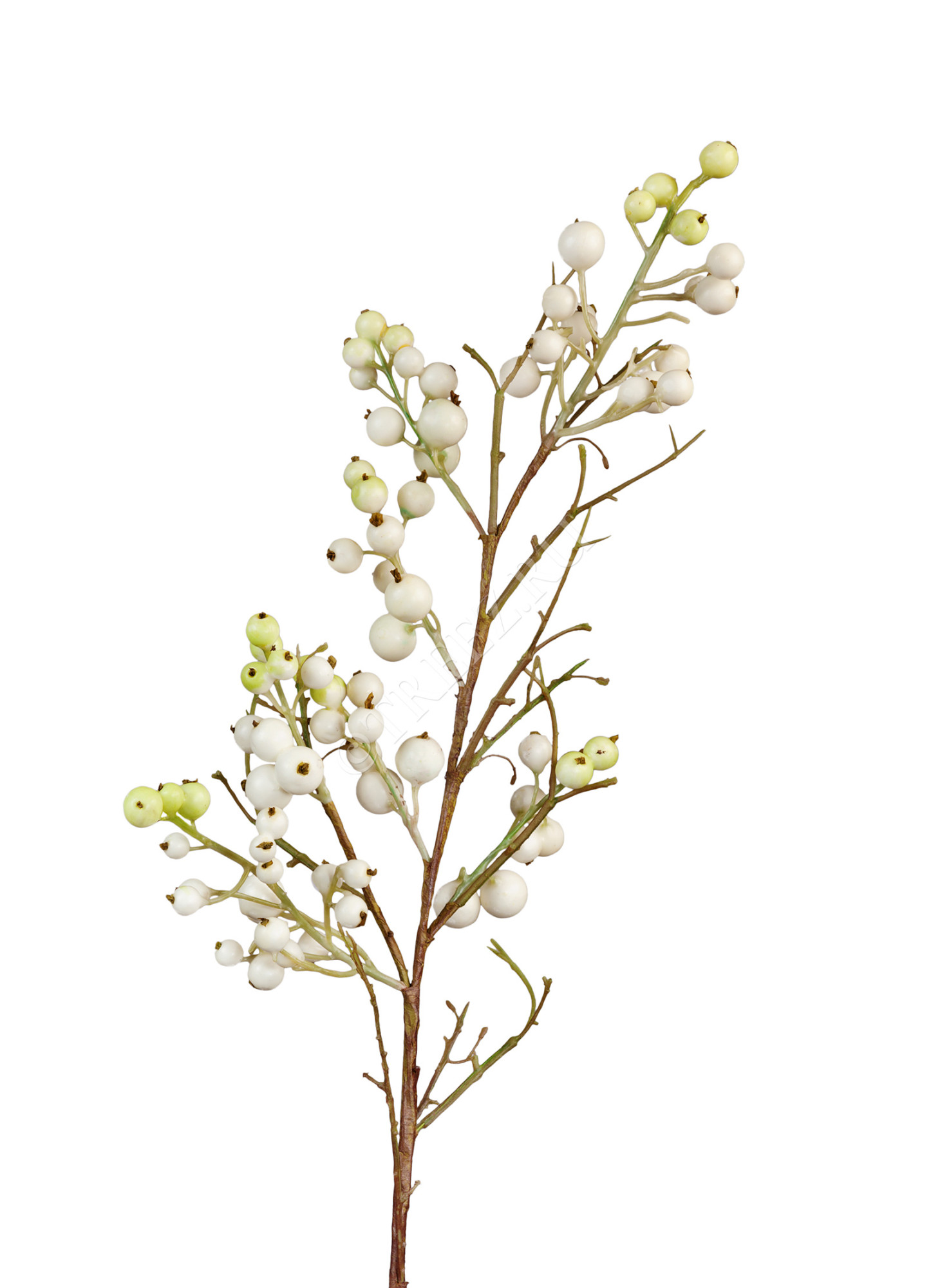 30.0312020WH Ветка с крупными бело-зелёными ягодами Цветочная коллекция 
