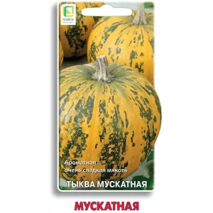 86217775 Семена фруктов Поиск тыква Мускатная 10 шт. STLM-1378271