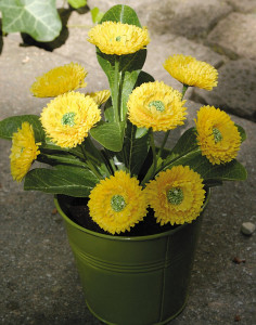 2816 330 a2 Искусственный цветок Bellis, горшок, 22 см, желтый H-andreas 
