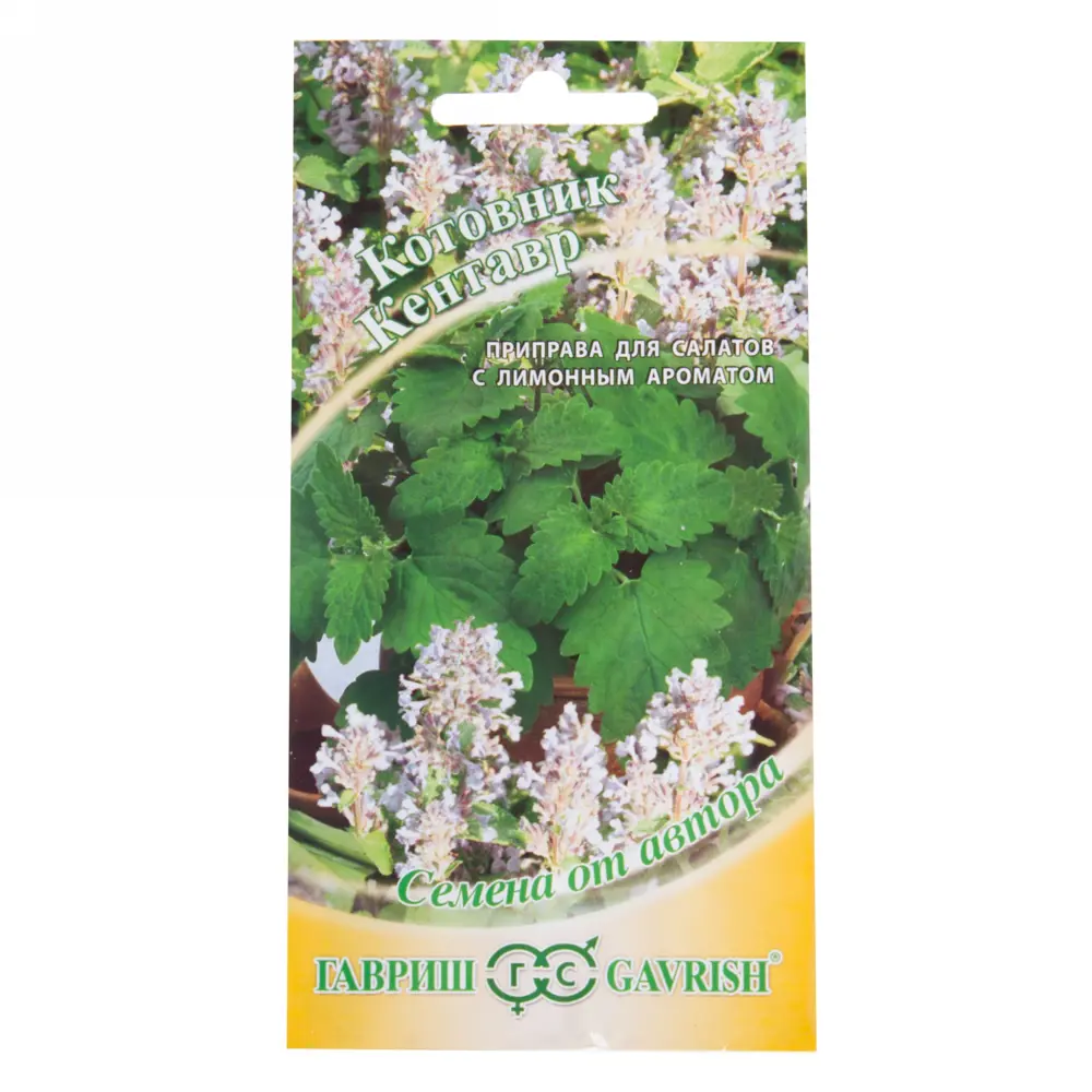 ГАВРИШ Котовник Кентавр - ароматный многолетник с лимонным запахом 13901342 STLM-0003964