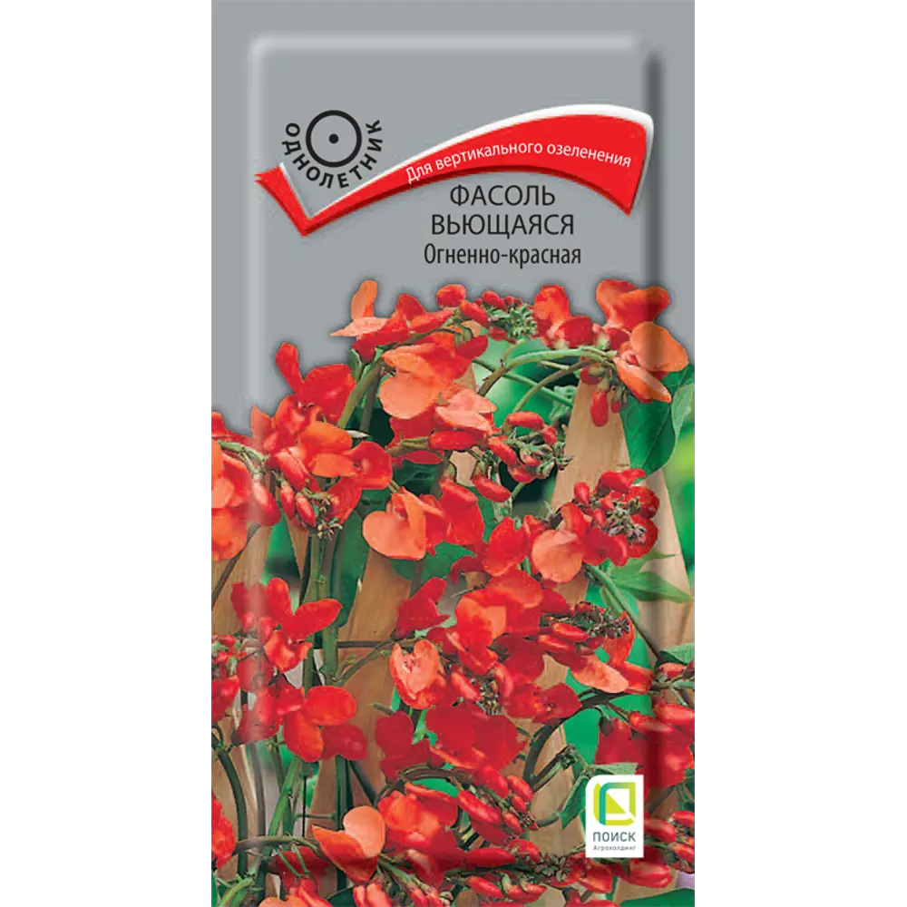Семена Фасоль вьющаяся однолетняя «Огненно-красная», 1 г 82102465 STLM-2057743 ПОИСК 