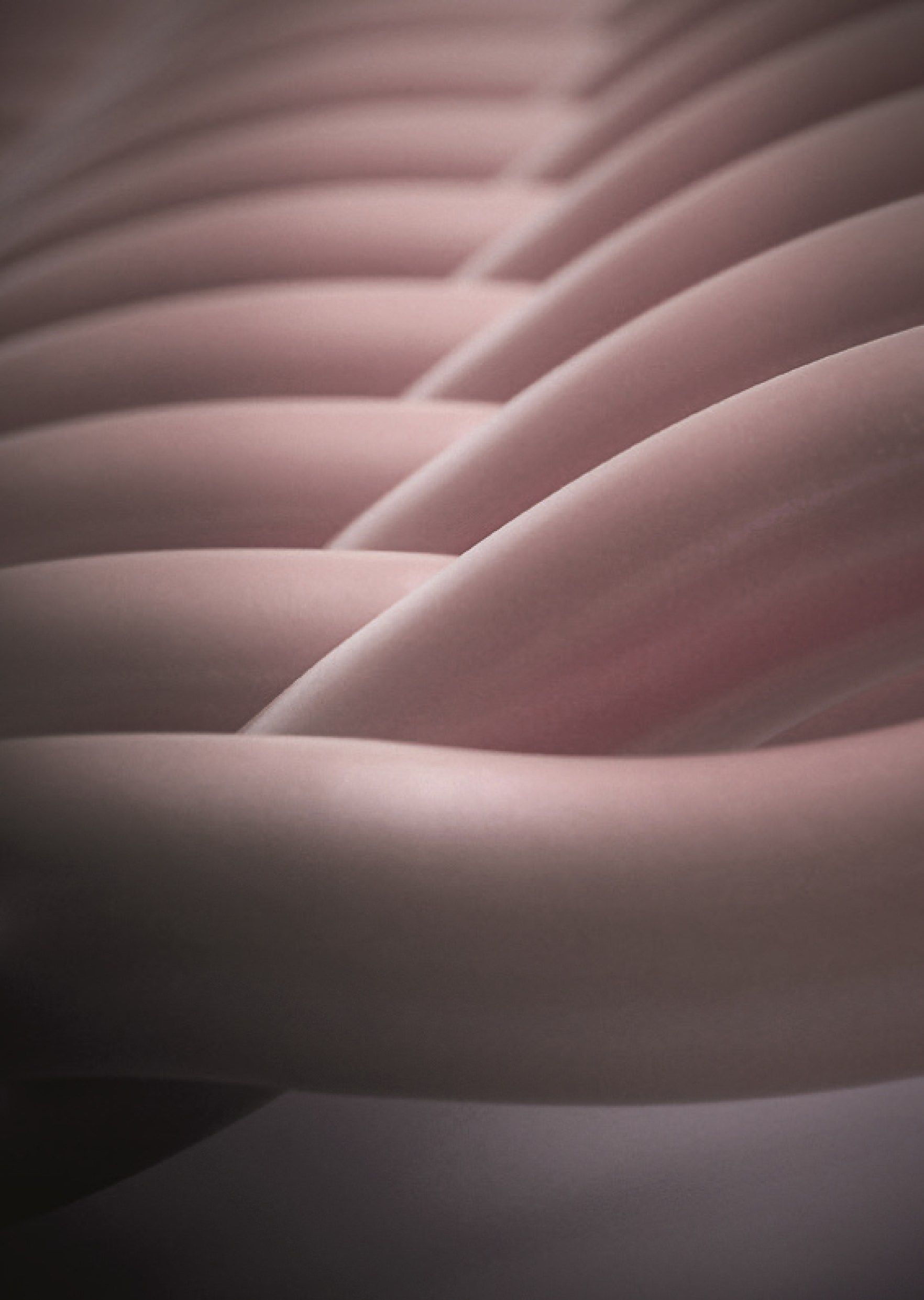 Настенный стальной вертикальный полотенцесушитель Tubes Elements ARCH-00067941 - Вид №15