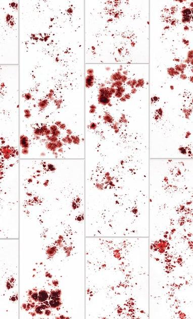 Danilo Ramazzotti Внутренняя облицовка майоликой Inchiostro simpatico Is1d - Вид №2