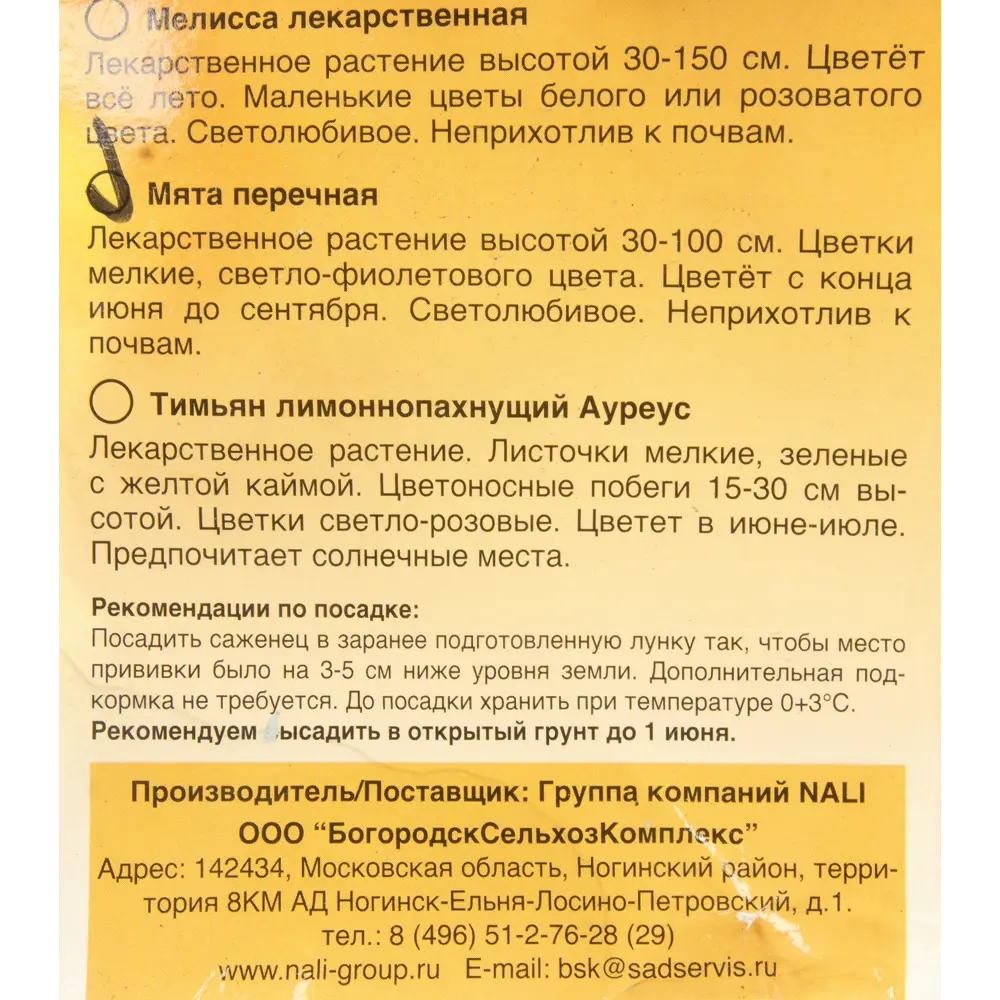 Мята перечная 82153608 STLM-2094692 Santreyd  - Вид №1