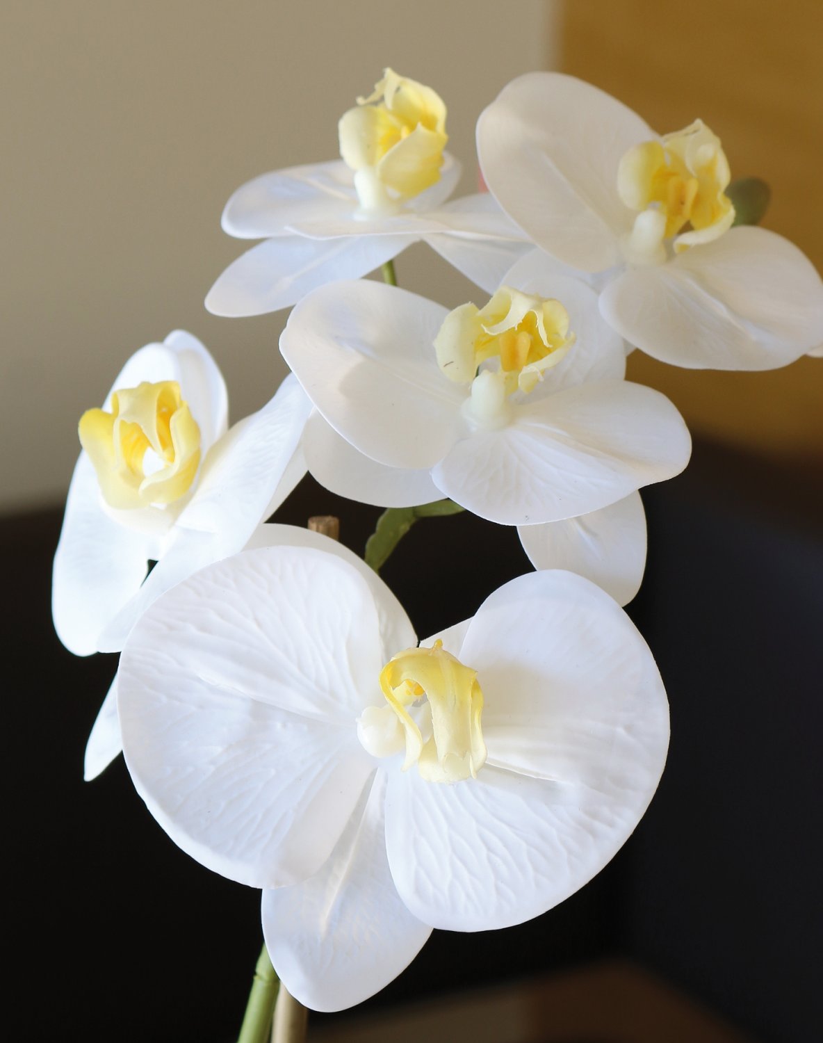 2596 778 a3 Пластиковая орхидея Phalaenopsis, горшечная, 43 см, real touch soft, бежево-белая H-andreas  - Вид №7