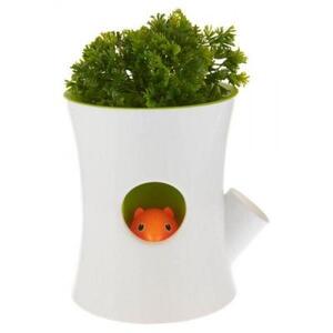 Горшок самополивающийся Log&Squirrel белый-зеленый