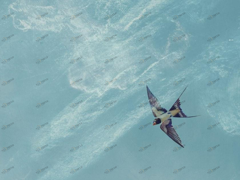 Isidore Leroy Панорамные обои Anastasie 6242401-6242402