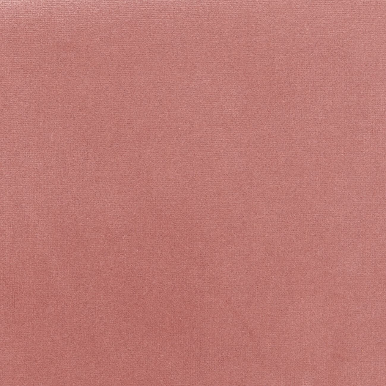 Бархатная однотонная ткань Élitis Palatine ARCH-00143253 - Вид №24