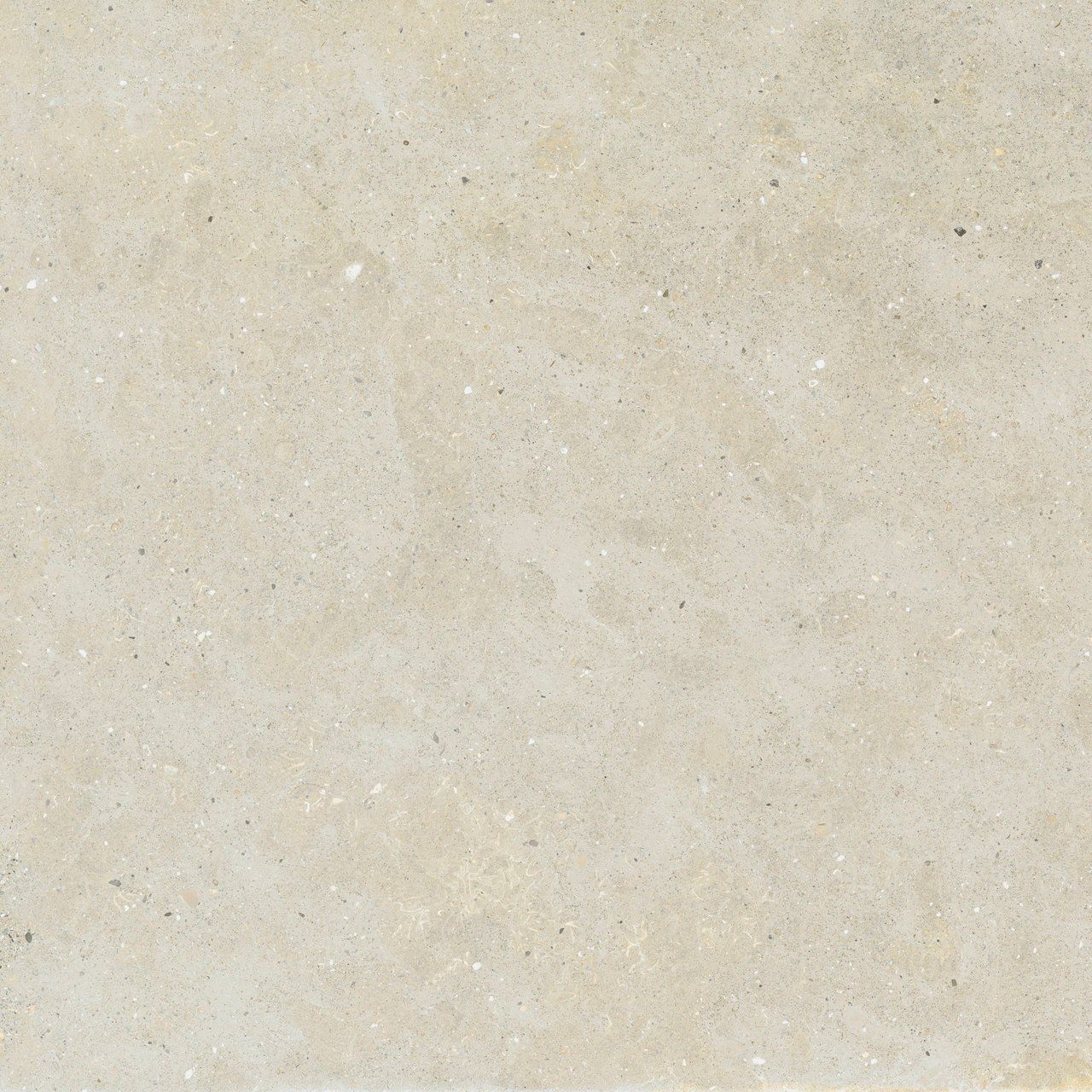 Пол / облицовка керамогранита с эффектом камня Fiandre сплошная ARCH-00064634 - Вид №16