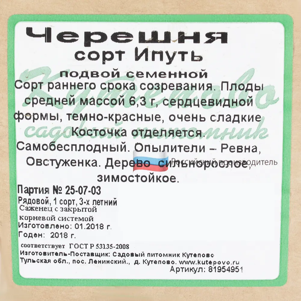Черешня С7 «Ипуть» h180 (3 года) 81954951 STLM-2193559 Santreyd  - Вид №1