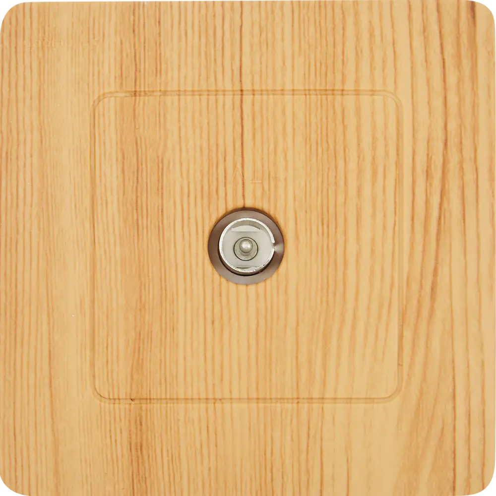 SYSTEME ELECTRIC ТВ-розетка Blanca для скрытого монтажа в цвете ясень 84500123 Серия отсутствует STLM-1437387