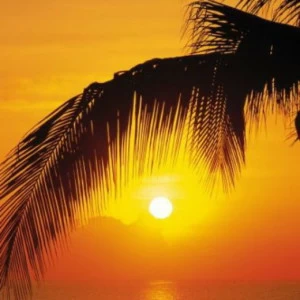 2-1255-Palmy-Beach-Sunrise Фотообои Komar Doors 2.2х0.92 м