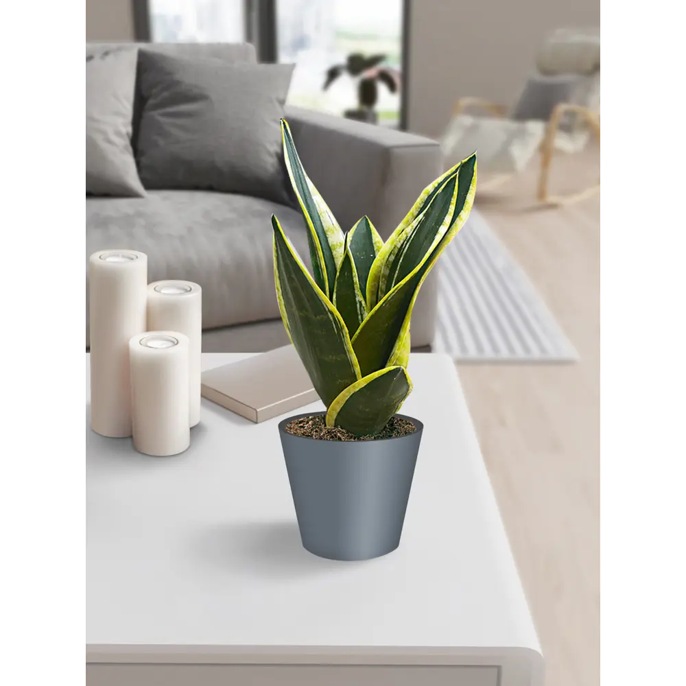 IDI LAND London — серое кашпо с системой терморегуляции 83994168 STLM-0045967 - Вид №3