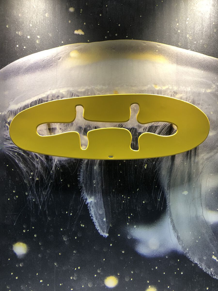 Настенный полотенцесушитель из углеродистой стали Cordivari Design Экстраслим ARCH-00019987 - Вид №1