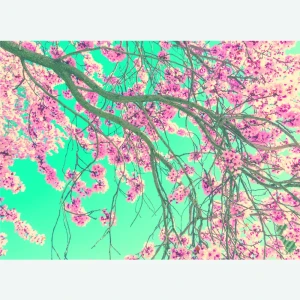 Фотообои флизелиновые «Ханами» 270х370 cм 18097605 STLM-2020942