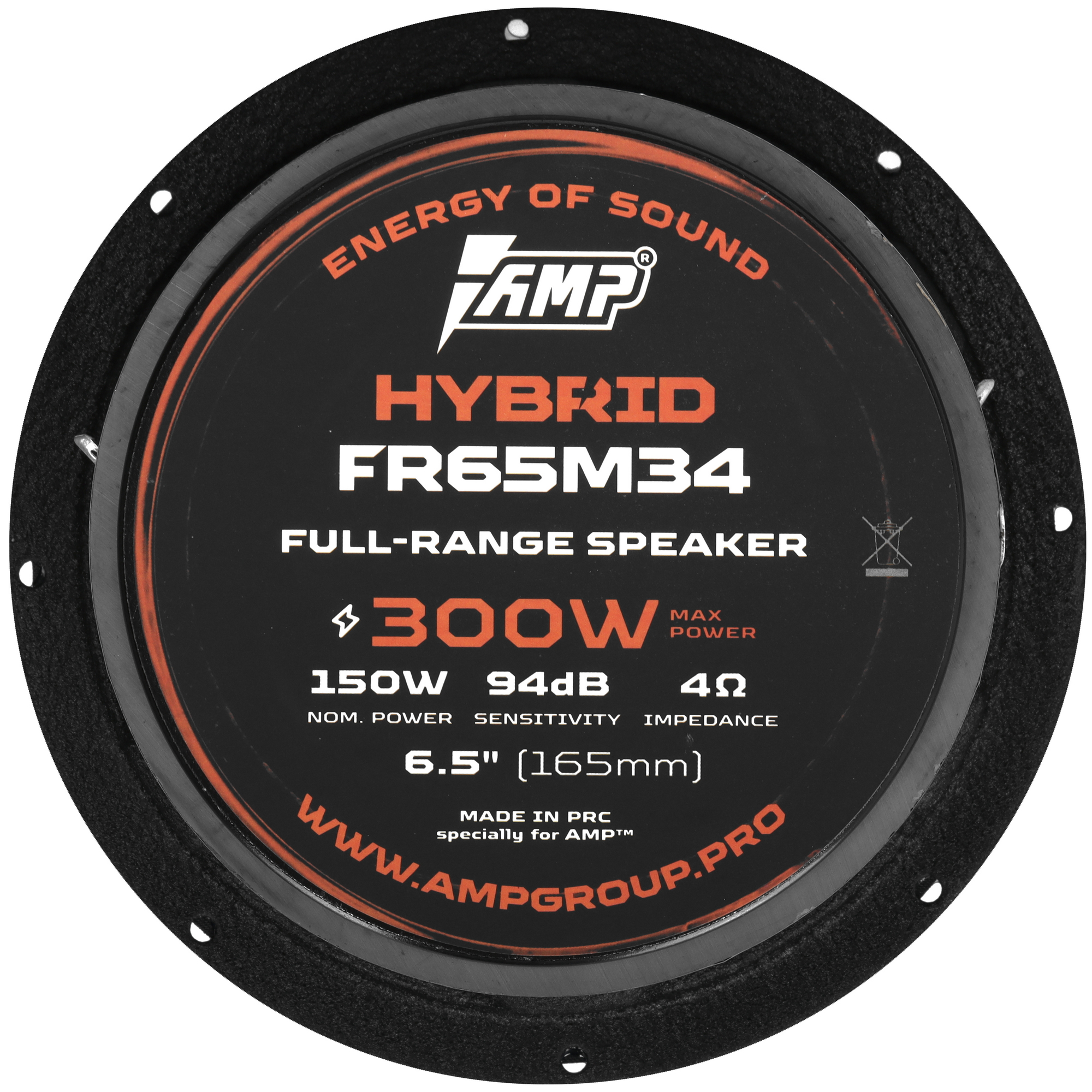 5492965 Широкополосная акустическая система AMP HYBRID FR65M34 STDN-0097558 - Вид №1