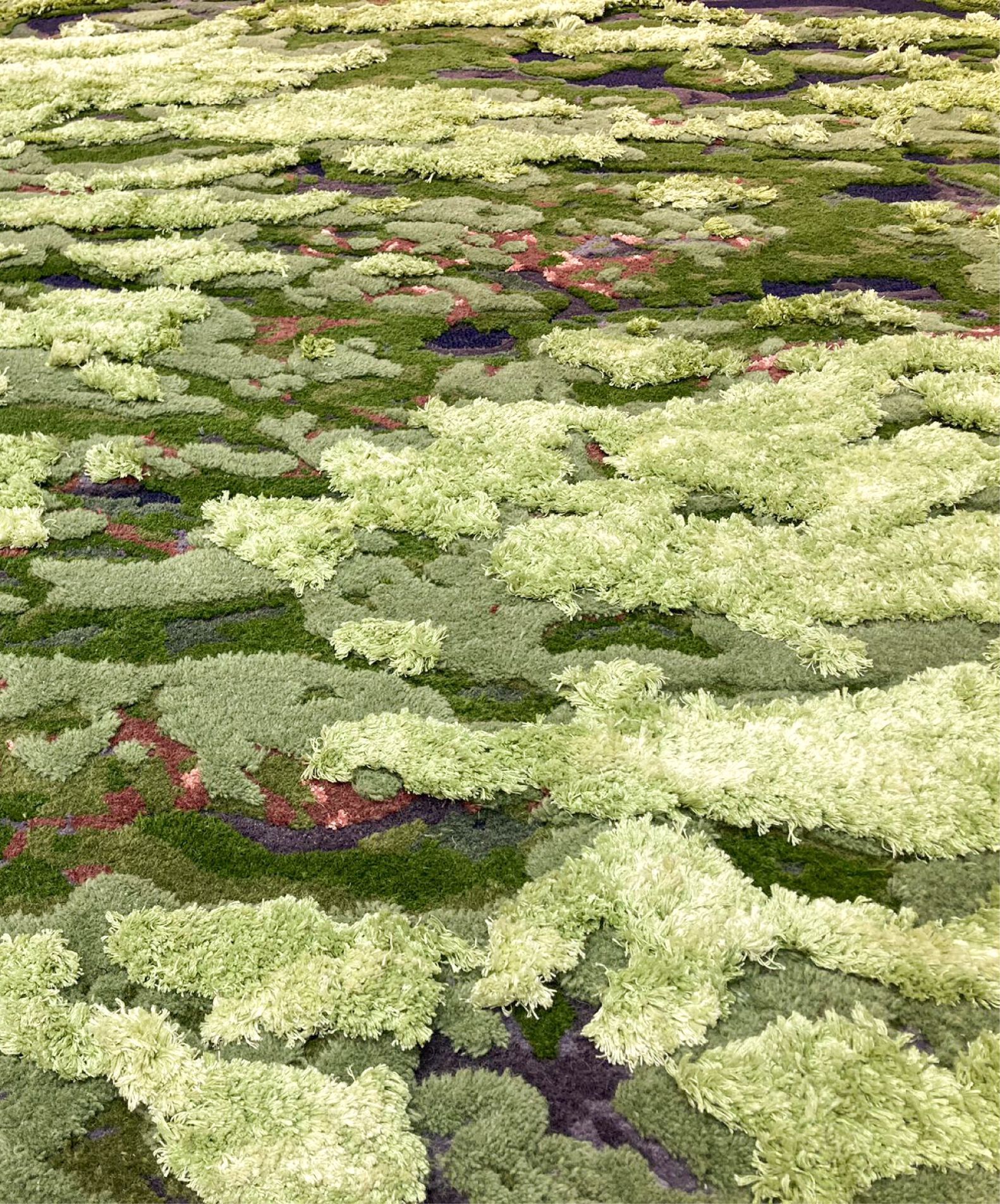 Прямоугольный ковер ручной работы Tapis Rouge Planet Earth ARCH-00092079 - Вид №4