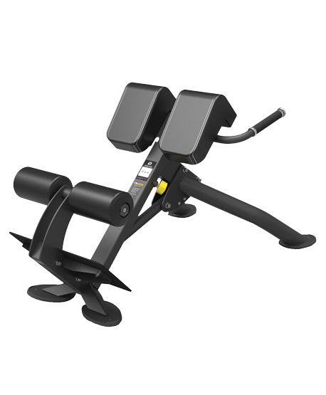 SP-4220 Spirit fitness sp-4220 гиперэкстензия под углом 45 градусов Spirit Fitness 