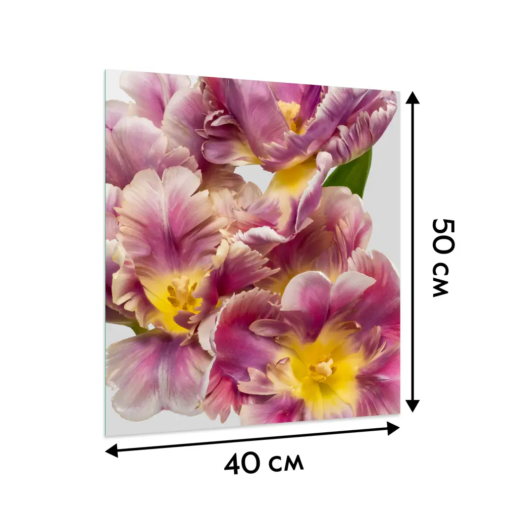 Картина на стекле Тюльпаны 40х50 см POSTERMARKET STLM-2191926 - Вид №5