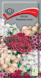 86218001 Семена цветов Поиск флокс Мерцающая звезда STLM-0066950 Santreyd