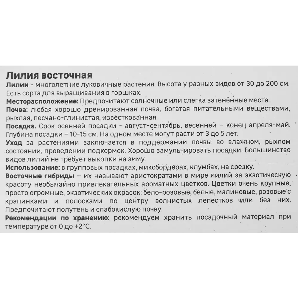 Лилия Geolia восточная Плейтайм 86408626 STLM-2046053  - Вид №3
