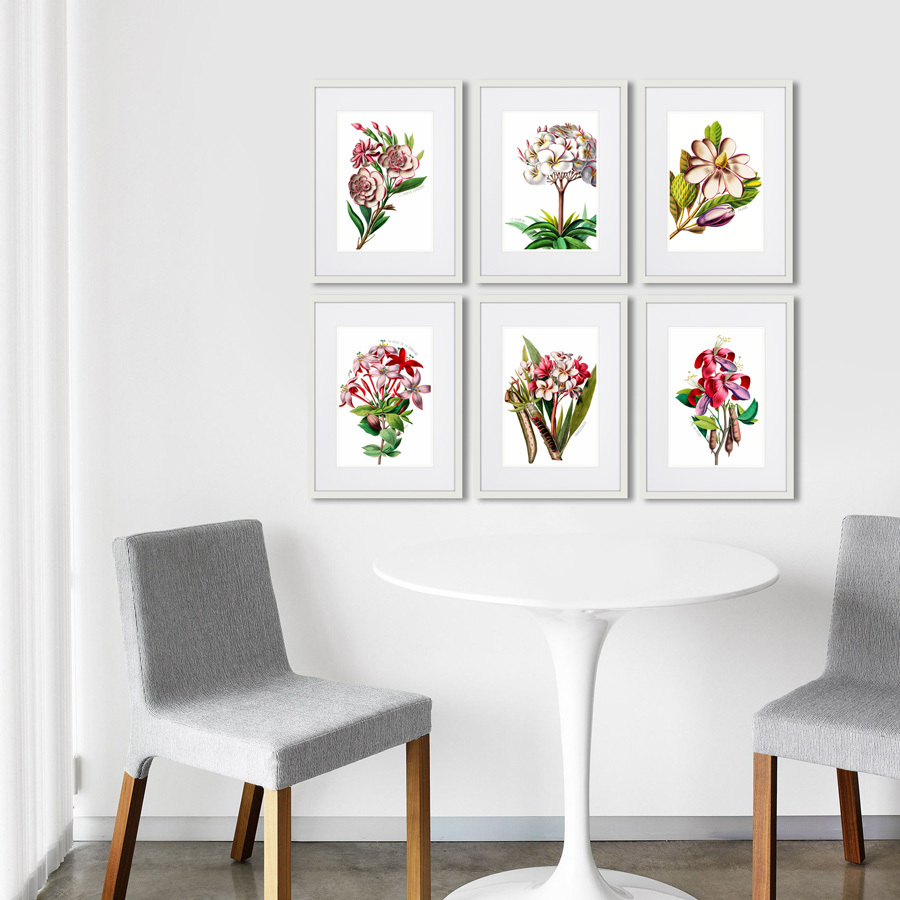 Картина: Caribian Flora Pink Plumeria Flower Branch, 1740г. КАРТИНЫ В КВАРТИРУ  264451 Разноцветный  - Вид №2
