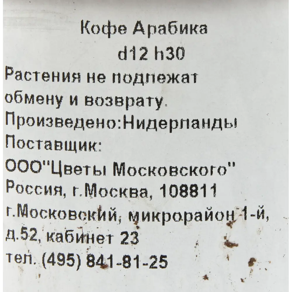 Кофе Арабика 12x30 см 82383223 STLM-2002050 Santreyd  - Вид №2