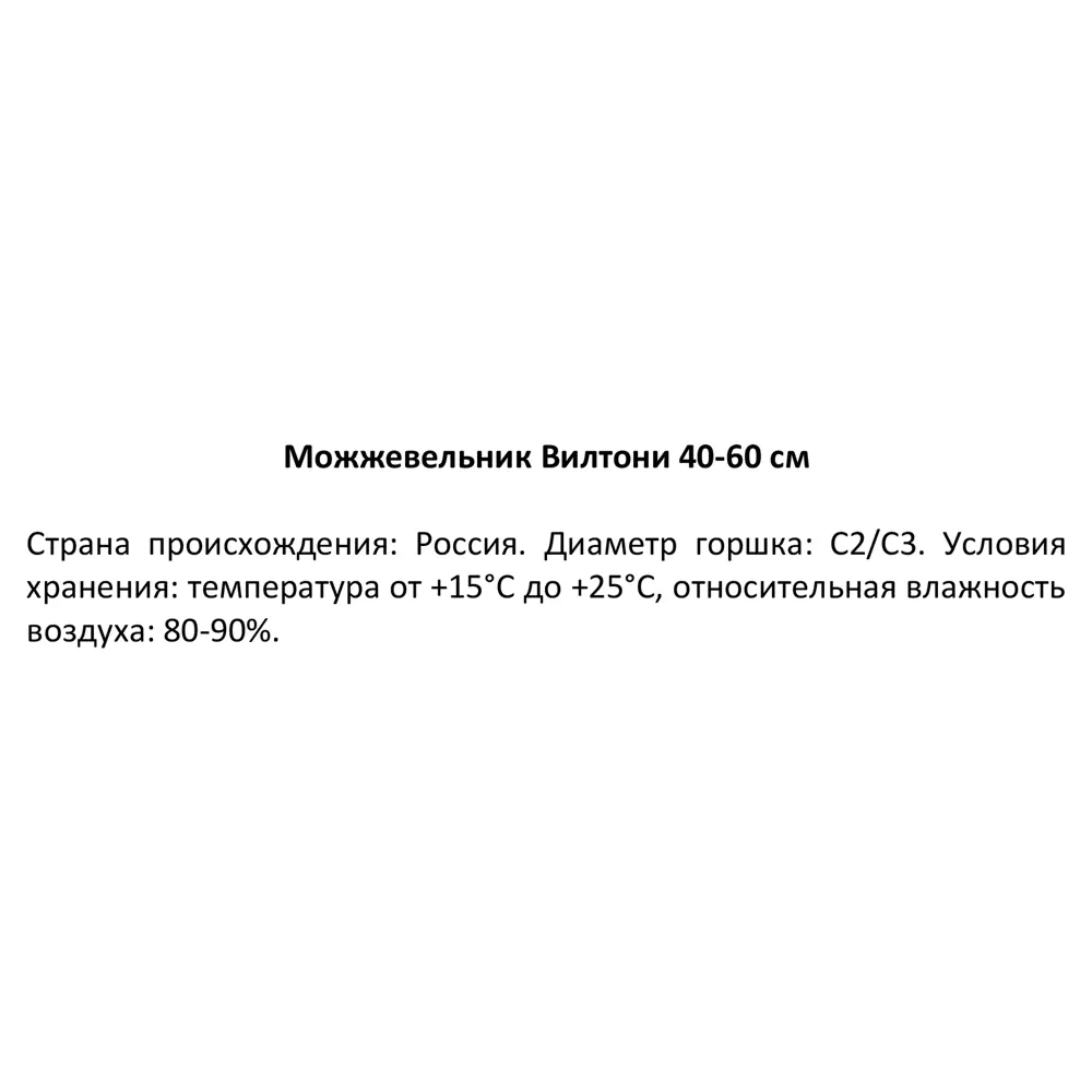 Можжевельник Вилтони ø19 см h40-60 см 85088153 STLM-2104666 Santreyd  - Вид №2