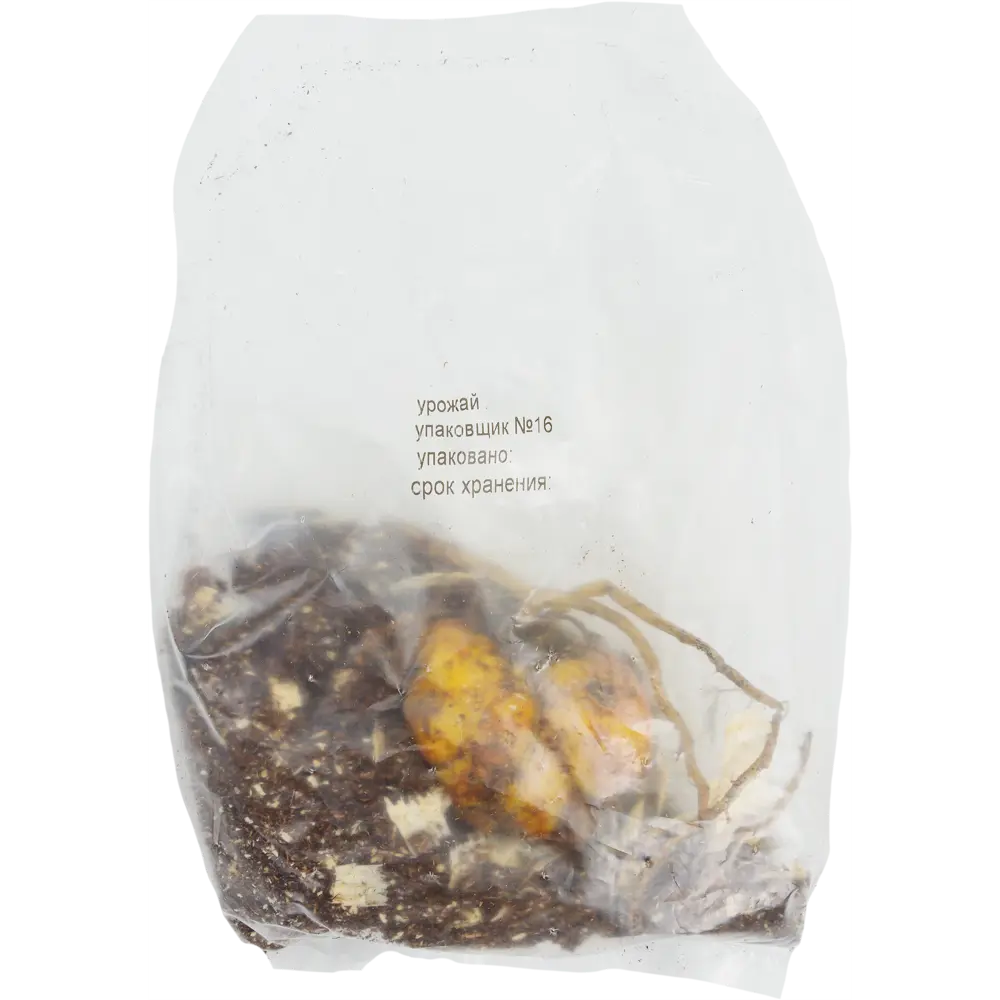 Лилия Барута Santreyd - луковица ОТ-гибрида с лимонно-желтыми цветами 82118707 STLM-0962812 - Вид №1