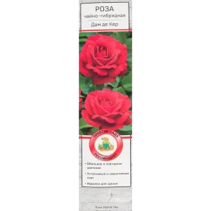 Розы чайно-гибридные «Дам де Кер» 18346229 STLM-2114989