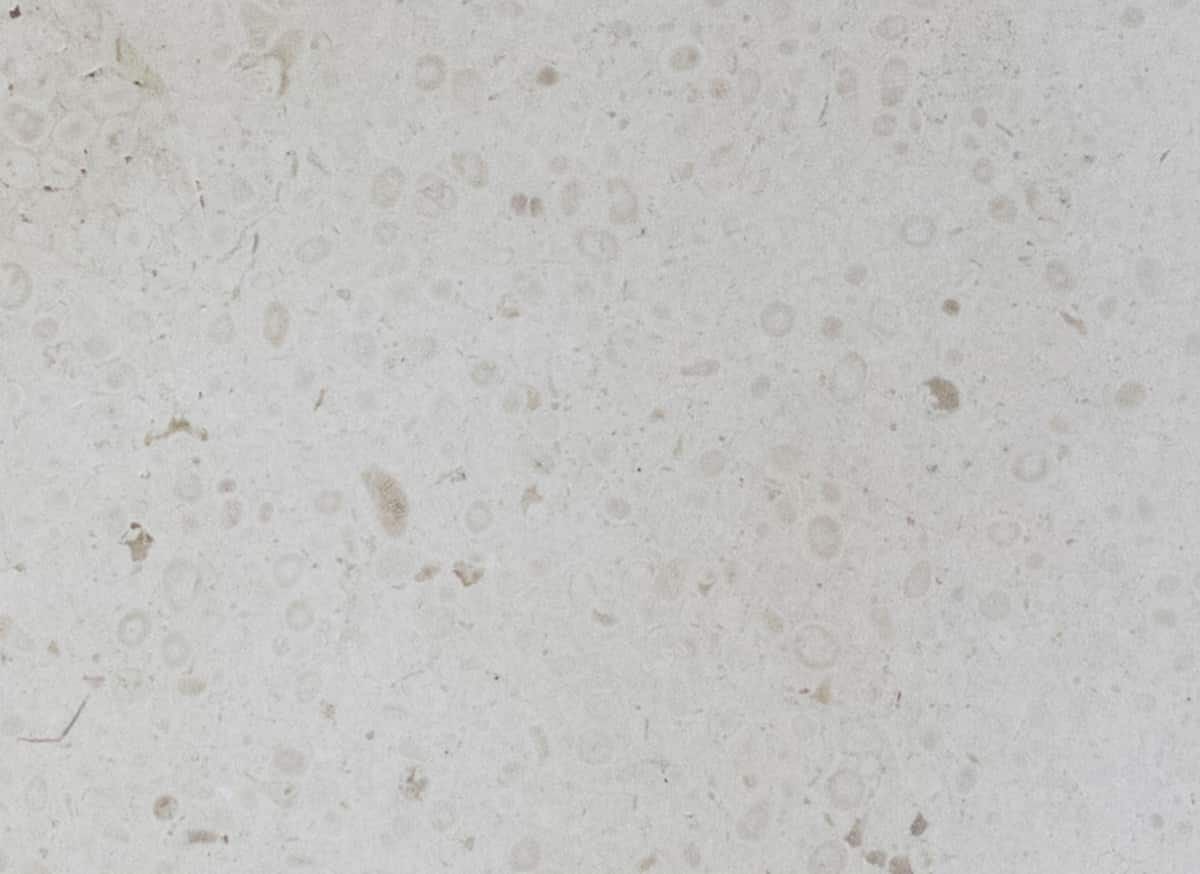 Подвесной прямоугольный умывальник COCOON Piet Boon ARCH-00102556 - Вид №15