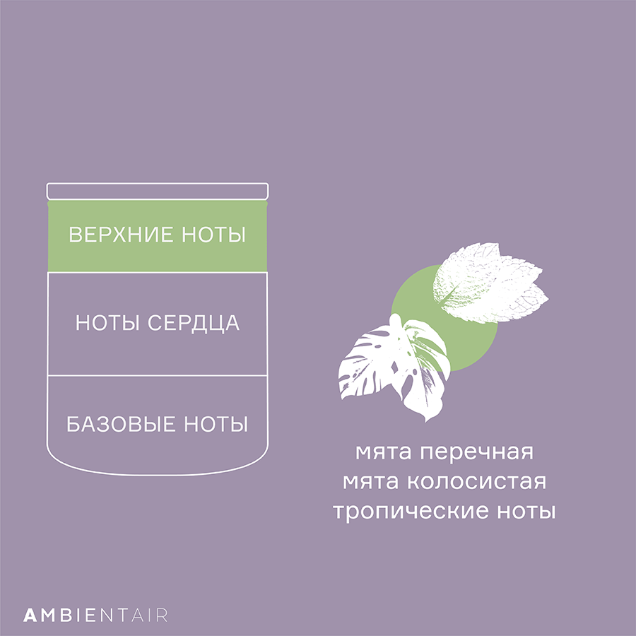 VV040MTHPA Свеча ароматическая sublime, Нероли и базилик, 40 ч Ambientair  - Вид №6
