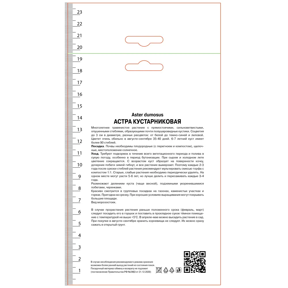 Астра кустарниковая Леди Ин Блу ПОИСК STLM-2156191 - Вид №1