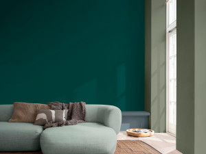 Моющаяся краска на водной основе