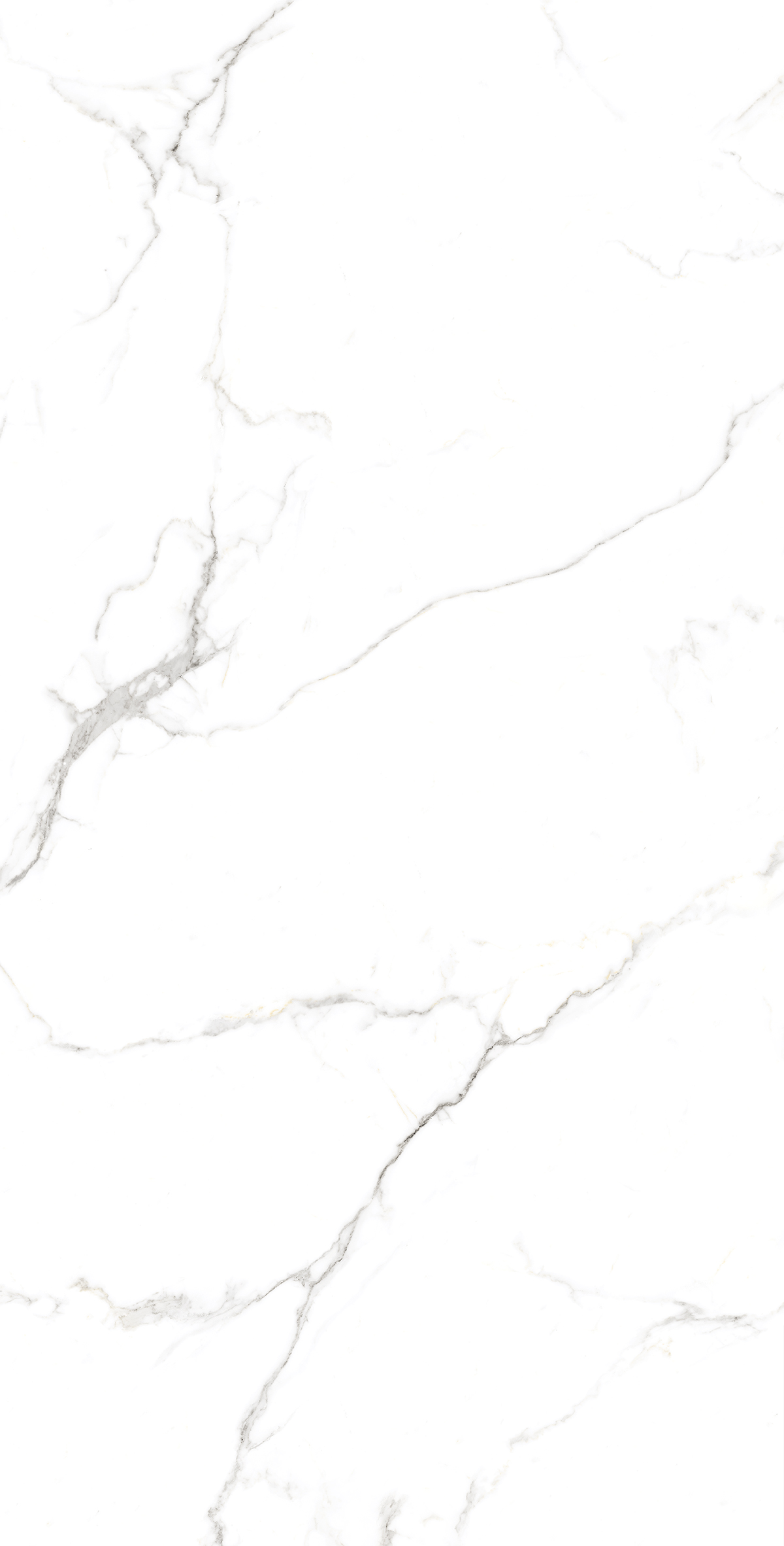 STATUARIO FINE — Элегантность мрамора в вашем интерьере FP1039-A Arcadia Ceramica - Вид №5