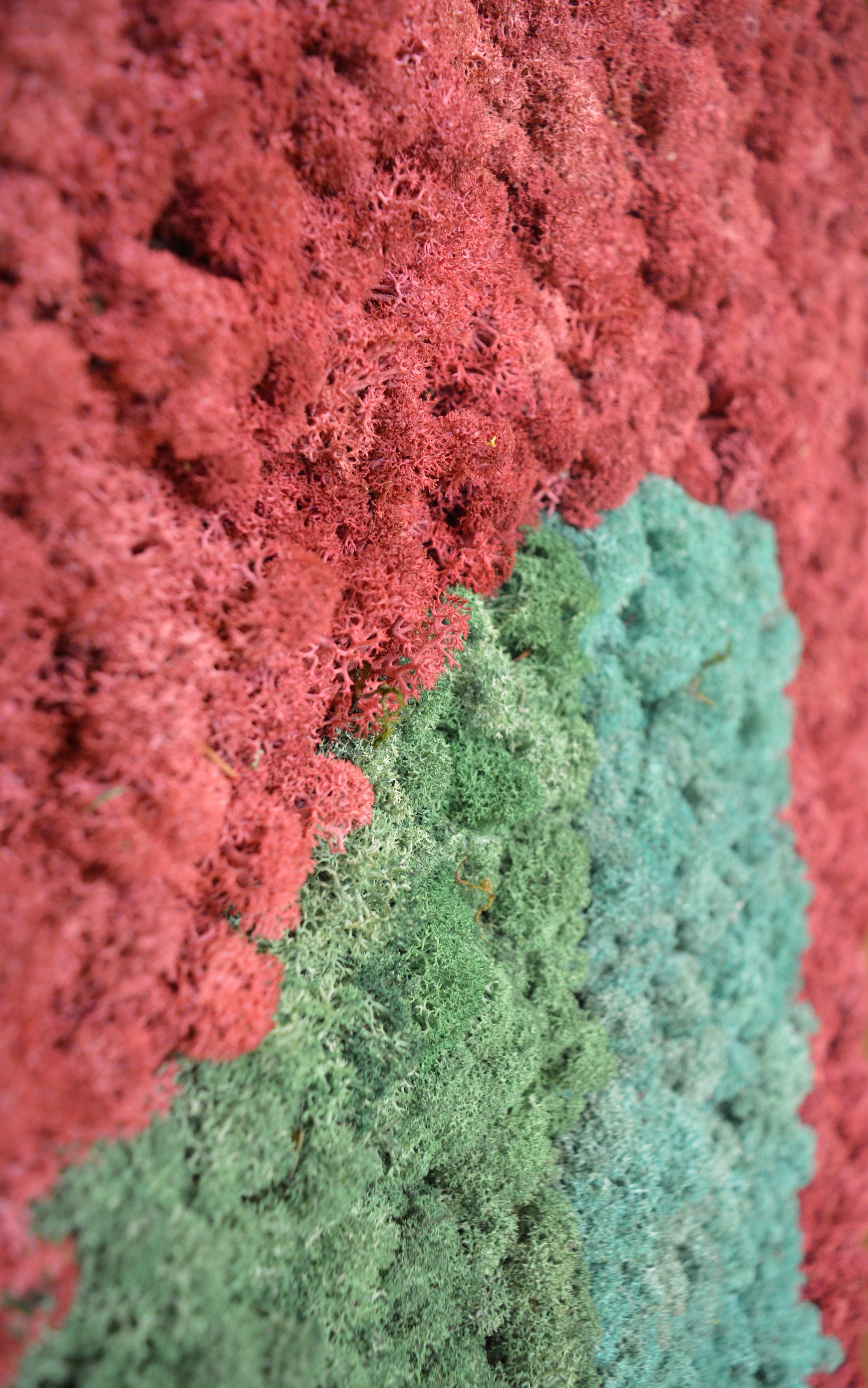 Акустическая панель из мха GREENMOOD FRAMED HARMONY ARCH-00128753 - Вид №17