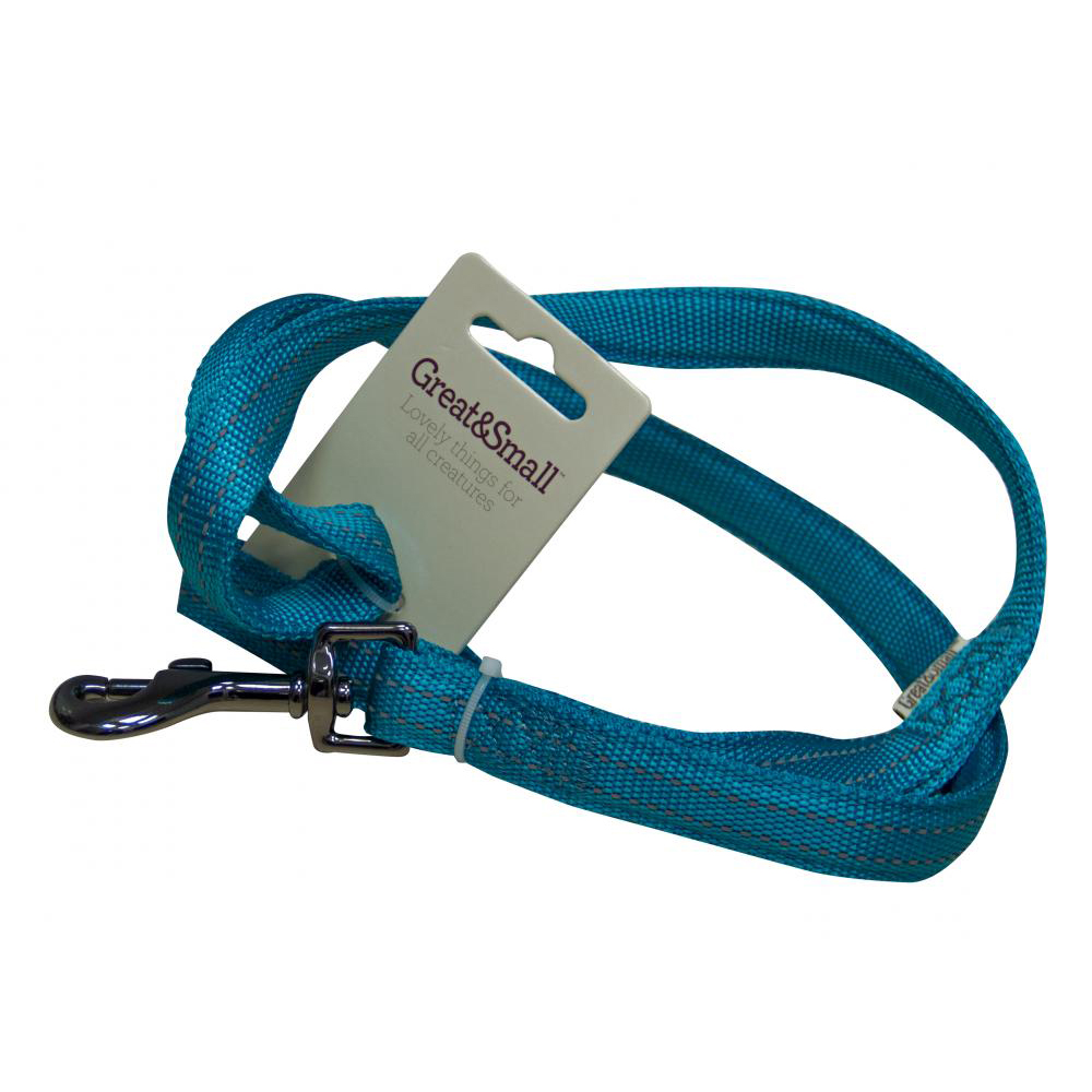 ПР0043610 Поводок для собак со светоотражающей острочкой 25х750мм нейлон бирюзовый Great&Small 